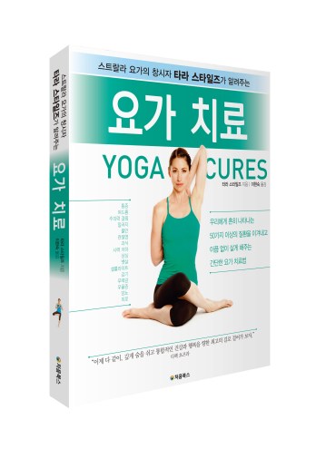 요가치료-입체